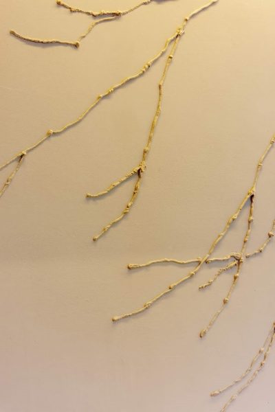 珪藻土木の枝模様のリビング壁。パナソニックホームズ品川展示場。原田左官施工