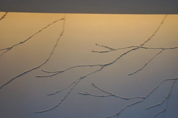 パナソニックホームズ品川展示場。珪藻土木の枝模様のリビング壁。原田左官施工