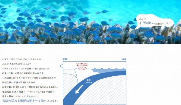 石灰の採れる場所は昔すべて海だったことの説明文と画像による説明。しっくいまるわかり大辞典WEBサイトから抜粋