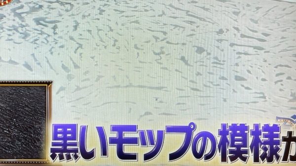 オルトレマテリア、研磨でモップ模様が浮き出ている様子