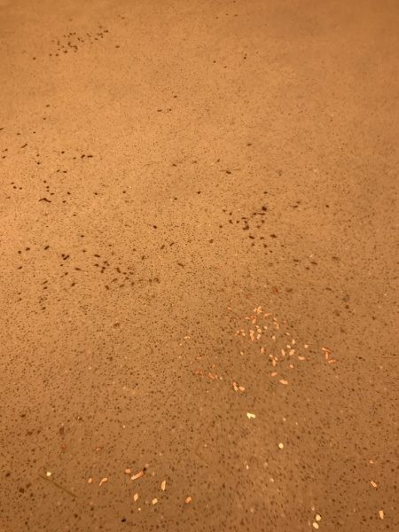 木片と銅紛入りビールストーン仕上げカウンター。表面