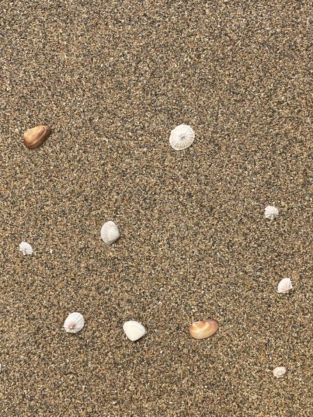 貝殻のある砂浜を表現した左官アート