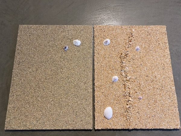 砂浜を表現した貝殻入りの左官アート2種類。右側は波打ち際も表現した左官アート