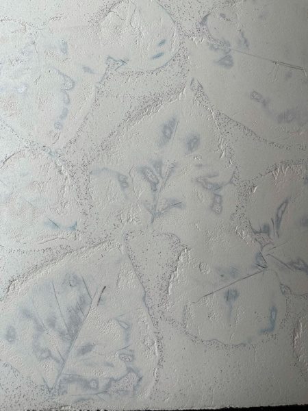 白のオルトレマテリア葉っぱ入り仕上げ壁サンプル
