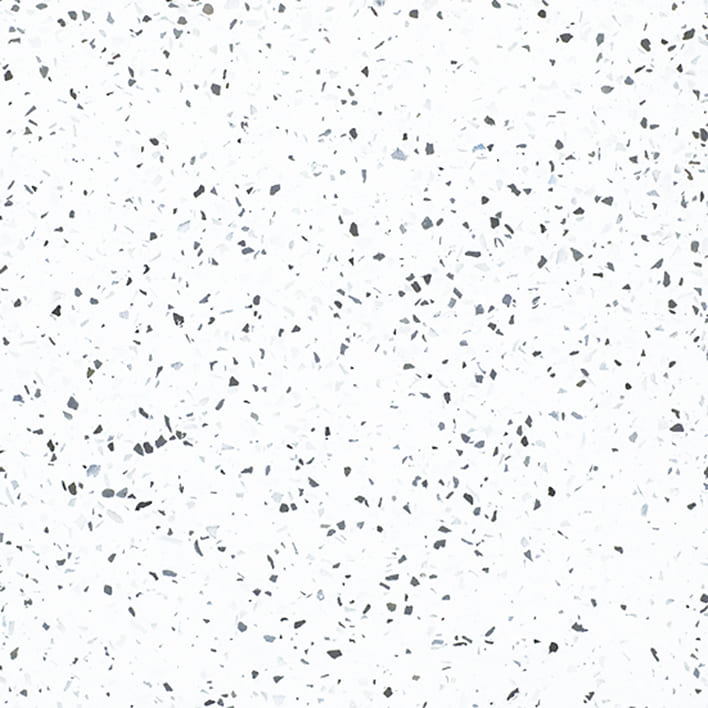DALMATIAN