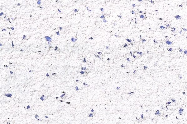 色ガラスを入れた珪藻土仕上げ