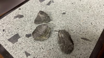 伊予青石を入れたビールストーン仕上げ