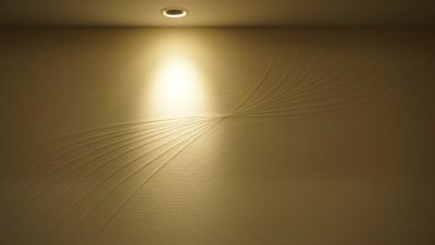 珪藻土デザイン仕上げ - 会議室の壁での施工例