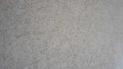 珪藻土仕上げ　店舗外装に施工