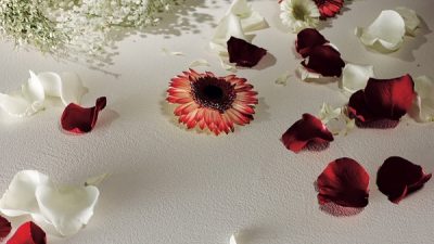 オルトレマテリア　大阪リビング＆デザインに出展
