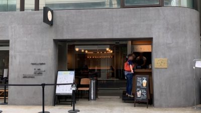 経年変化も魅せる壁【モールテックスを外壁に使用】