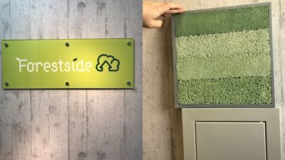 塗り版築　オフィスエントランス壁に施工