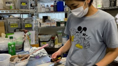 左官業でも在宅ワークを！
