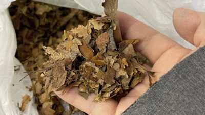 落ち葉を入れたモールテックス