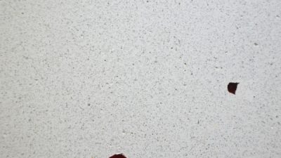 大きなガラスでの研ぎ出し　完成！