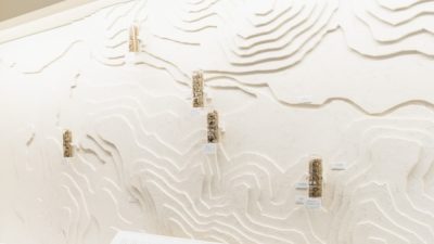 マッテオブリオーニ - 酒蔵壁面に施工