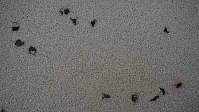 そば殻入り左官仕上げ　完成