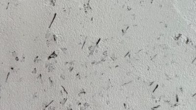 オルトレマテリアお茶の葉入りサンプル