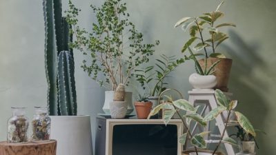 磨きと陰影を併せ持った仕上げ「ポリーブル」写真スタジオの壁面を特注色で施工