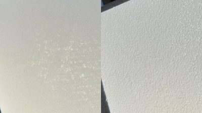 ポリーブル ボナースを入れたサンプル