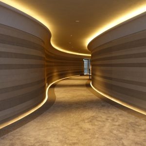 プラスタル塗り版築 - マンションの通路に施工