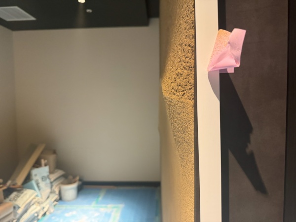 横から見たプラスタル搔き落とし仕上げの壁