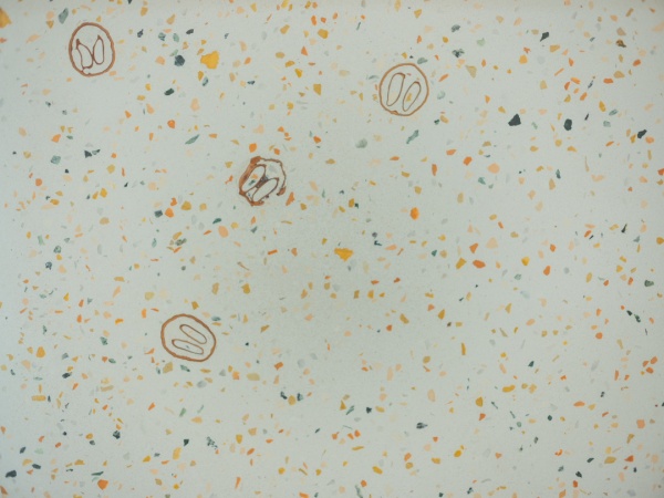 アップサイクルテラゾ®くるみ入り仕上げ