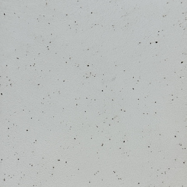 ポリーブルにコーヒーの出涸らしを入れた壁。型番：SP9275