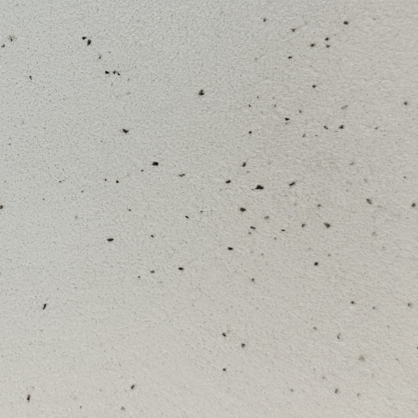 ポリーブルにコーヒーの出涸らしを入れた壁。型番：SP9275