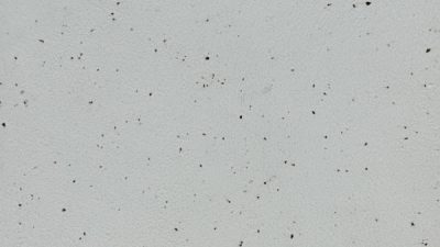 ポリーブル コーヒーの出涸らしを入れた仕上げサンプル