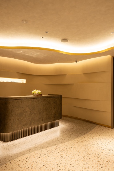 マッテオ・ブリオーニを施工したオフィスのエントランスホールの壁。色はパンナ(TV01)