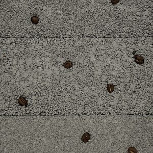 塗り版築コーヒーを入れた仕上げサンプル