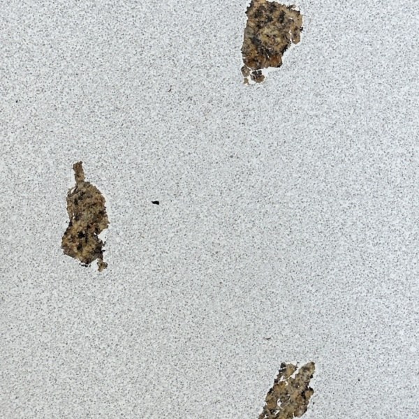 ビールストーンに大きめの骨材を入れたサンプル。型番：SP9465