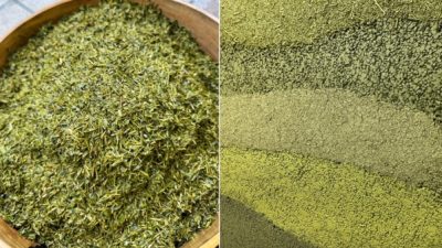 プラスタル塗り版築 茶葉を入れた仕上げ