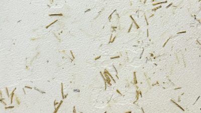 ポリーブル 棒茶の茶葉入りサンプル