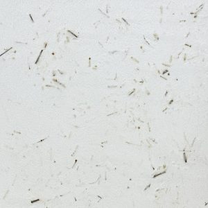 ポリーブル ほうじ茶の茶葉入りサンプル